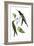Delicate Hummingbird III-Vision Studio-Framed Art Print