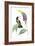 Delicate Hummingbird IV-Vision Studio-Framed Art Print