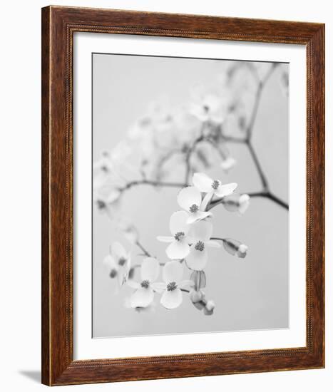 Delicate I-Irene Suchocki-Framed Giclee Print