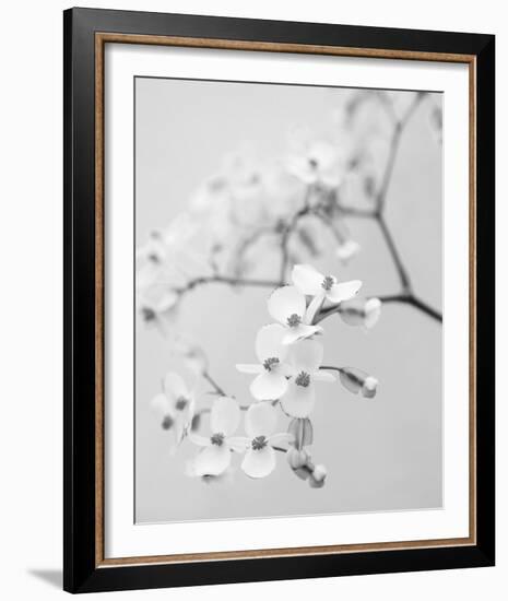 Delicate I-Irene Suchocki-Framed Giclee Print