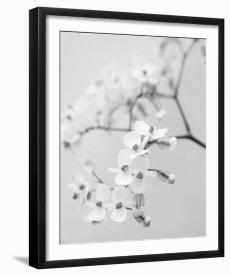 Delicate I-Irene Suchocki-Framed Giclee Print