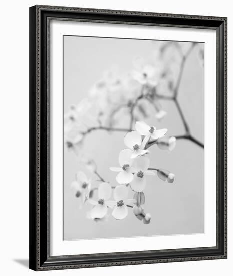 Delicate I-Irene Suchocki-Framed Giclee Print