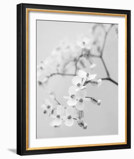 Delicate I-Irene Suchocki-Framed Giclee Print