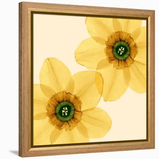 Delicate I-Val Andre-Framed Premier Image Canvas