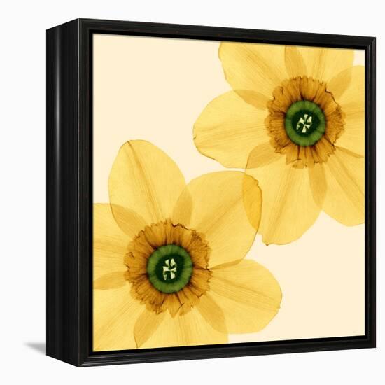 Delicate I-Val Andre-Framed Premier Image Canvas