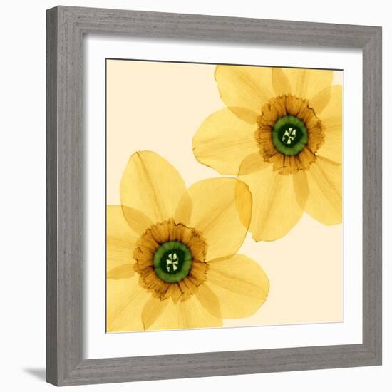 Delicate I-Val Andre-Framed Giclee Print