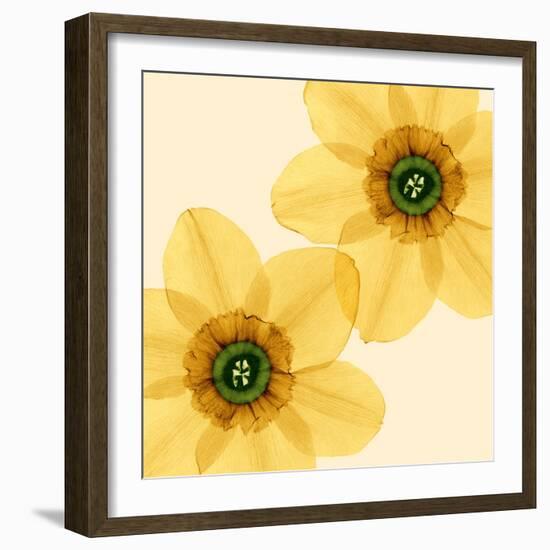 Delicate I-Val Andre-Framed Giclee Print