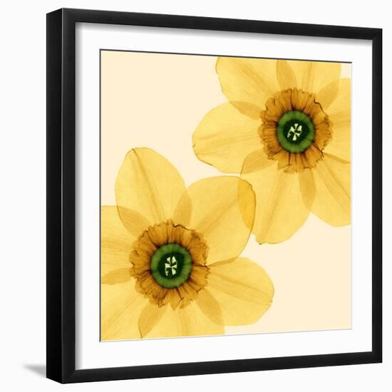 Delicate I-Val Andre-Framed Giclee Print