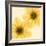 Delicate I-Val Andre-Framed Giclee Print