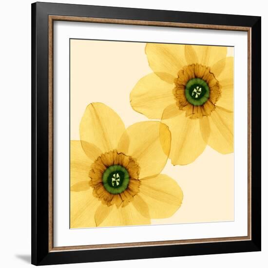 Delicate I-Val Andre-Framed Giclee Print