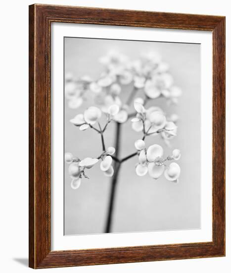 Delicate II-Irene Suchocki-Framed Giclee Print