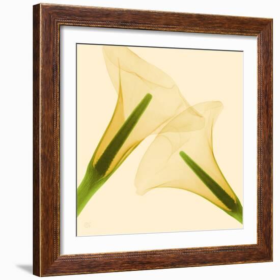 Delicate II-Val Andre-Framed Giclee Print