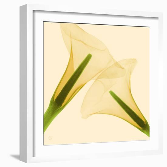 Delicate II-Val Andre-Framed Giclee Print