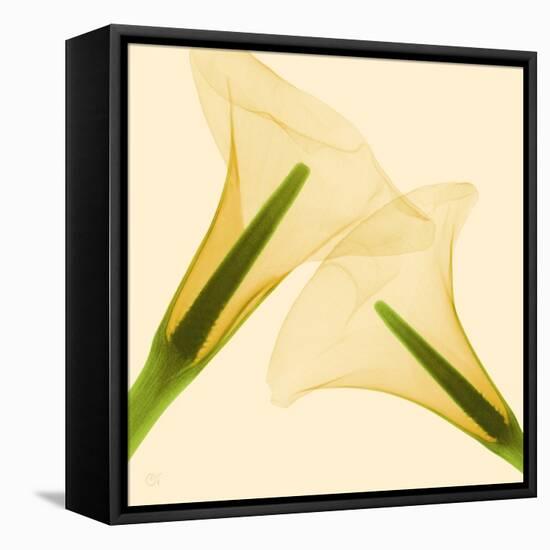 Delicate II-Val Andre-Framed Premier Image Canvas