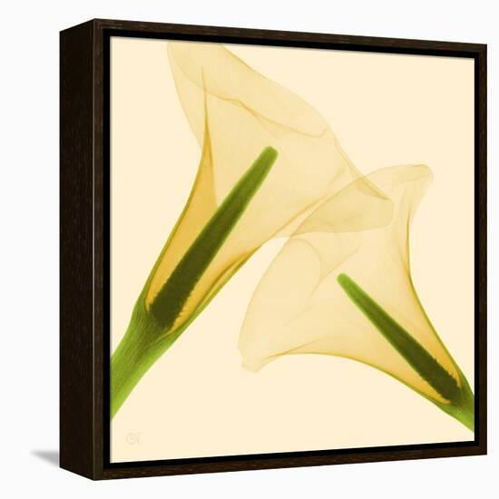 Delicate II-Val Andre-Framed Premier Image Canvas