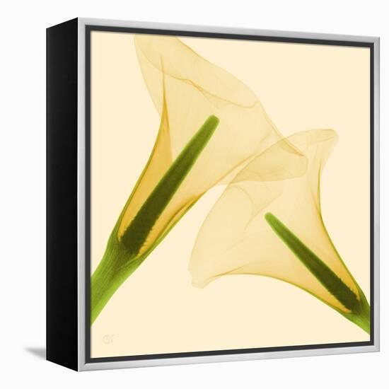 Delicate II-Val Andre-Framed Premier Image Canvas