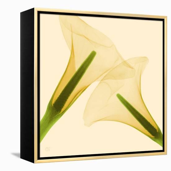 Delicate II-Val Andre-Framed Premier Image Canvas