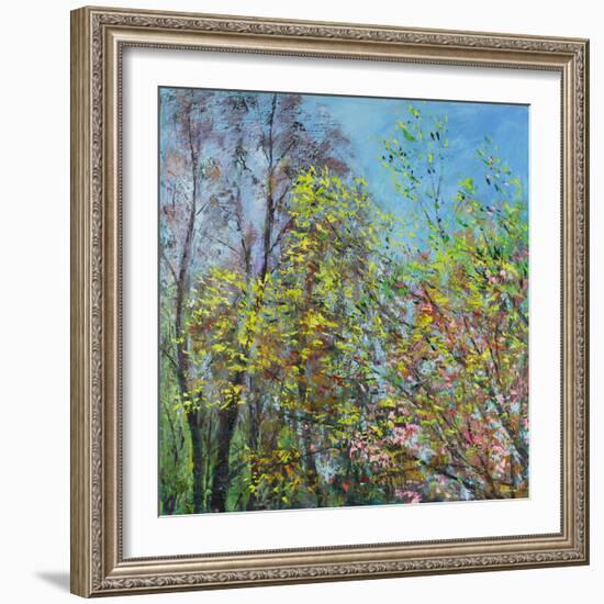 Delicate Leaves of Spring-Sylvia Paul-Framed Giclee Print