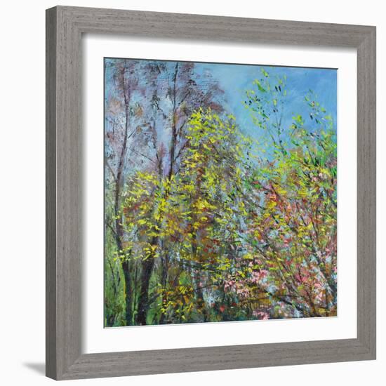 Delicate Leaves of Spring-Sylvia Paul-Framed Giclee Print