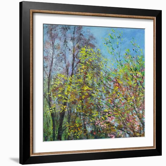 Delicate Leaves of Spring-Sylvia Paul-Framed Giclee Print