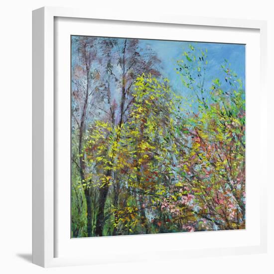 Delicate Leaves of Spring-Sylvia Paul-Framed Giclee Print