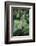 Délicate Nature-Viviane Fedieu Daniel-Framed Photographic Print