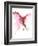 Delicate - No. 1-Kiana Mosley-Framed Art Print