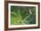 Delicate Perch-Staffan Widstrand-Framed Giclee Print