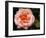 Delicate Petals I-Nicole Katano-Framed Photo