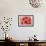 Delicate Petals II-Rita Crane-Framed Premium Giclee Print displayed on a wall