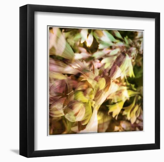 Delicate petals III-Jean-François Dupuis-Framed Art Print