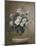 Delicate Petals-Ralph Steiner-Mounted Art Print
