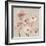 Delicate Pink Flowers-Asia Jensen-Framed Art Print