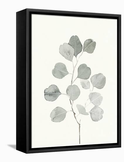 Delicate Sage Botanical I-Emma Caroline-Framed Stretched Canvas