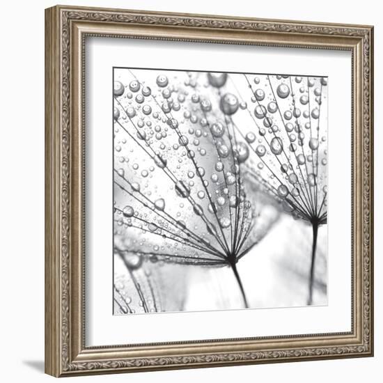 Delicate Wisps II-null-Framed Art Print