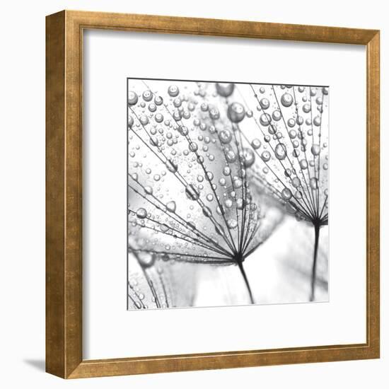 Delicate Wisps II-null-Framed Art Print