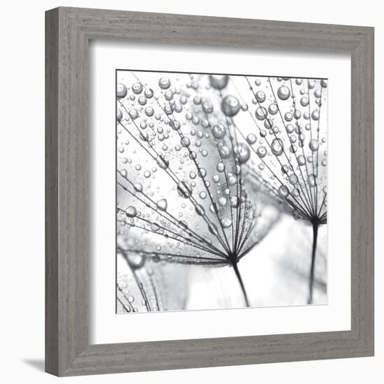 Delicate Wisps II-null-Framed Art Print