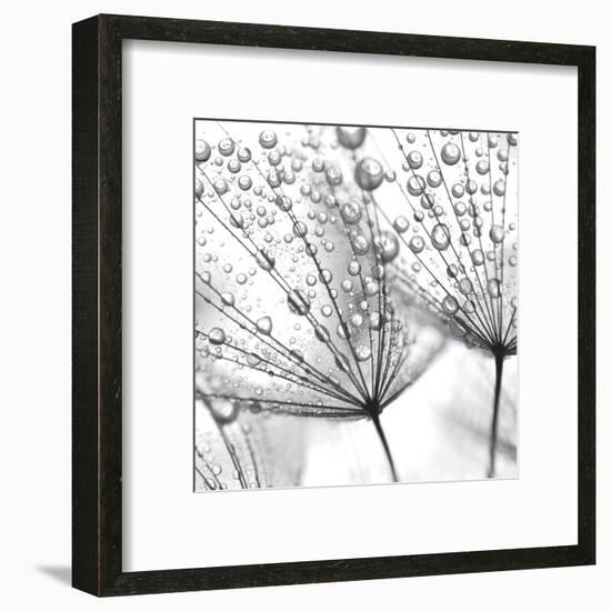 Delicate Wisps II-null-Framed Art Print