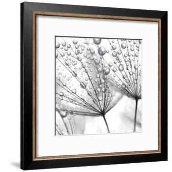 Delicate Wisps II-null-Framed Art Print