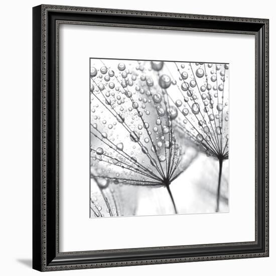 Delicate Wisps II-null-Framed Art Print