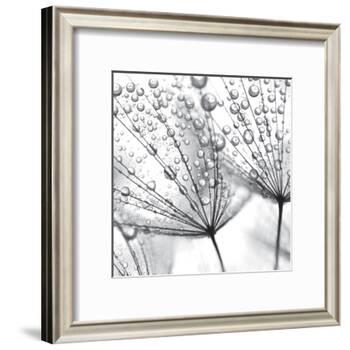 Delicate Wisps II-null-Framed Art Print