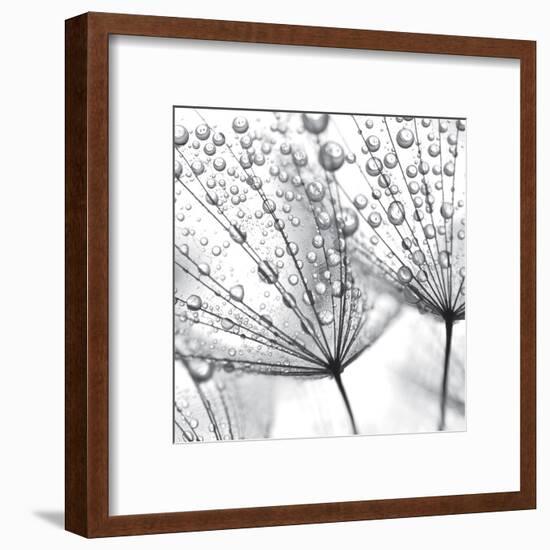 Delicate Wisps II-null-Framed Art Print