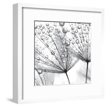 Delicate Wisps II-null-Framed Art Print