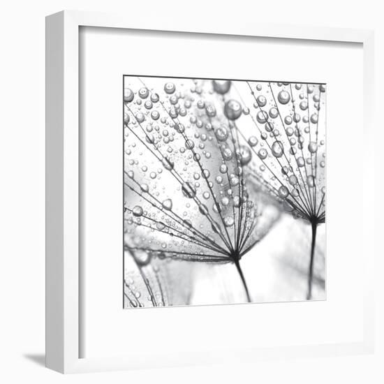 Delicate Wisps II-null-Framed Art Print