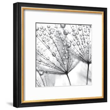 Delicate Wisps II-null-Framed Art Print