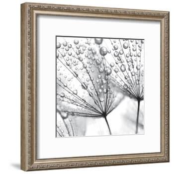 Delicate Wisps II-null-Framed Art Print