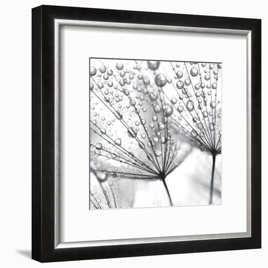 Delicate Wisps II-null-Framed Art Print