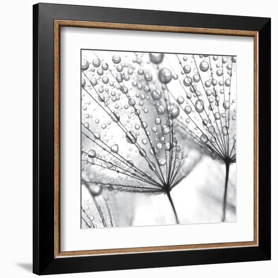 Delicate Wisps II-null-Framed Art Print