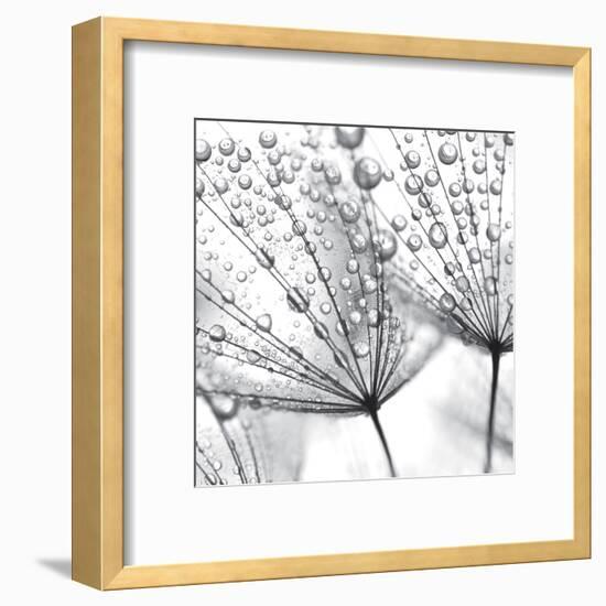 Delicate Wisps II-null-Framed Art Print