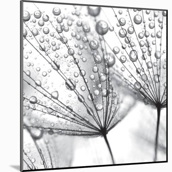 Delicate Wisps II-null-Mounted Art Print